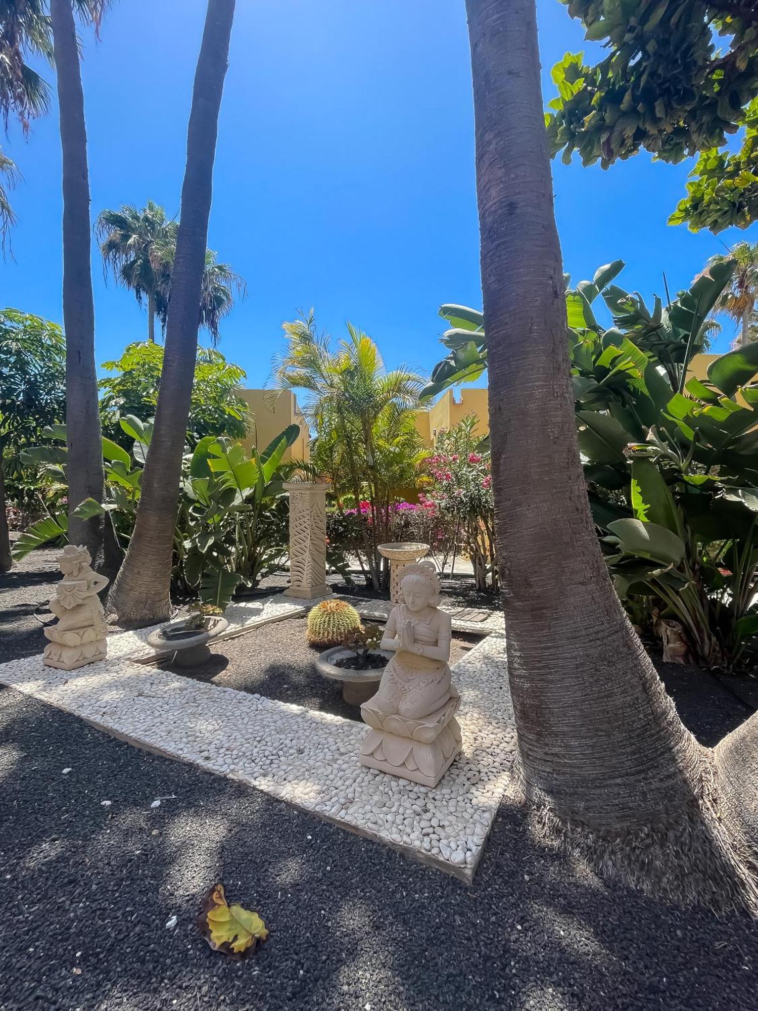 Appartamento B-Rent Atlantic Garden 181 Corralejo Esterno foto